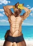 abs anthro biceps black_nose blonde_hair blue_eyes bottomwear brown_body brown_fur clothed clothing erection foreskin fur genitals hair humanoid_genitalia humanoid_penis male muscular muscular_anthro muscular_male nipples pecs penetration penis shorts smile solo standing swimwear topless saruuk canid canine canis domestic_dog german_shepherd herding_dog mammal pastoral_dog 2017 hi_res