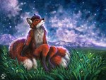 anthro black_nose brown_hair detailed_background ear_piercing ear_ring fur grass hair male multi_tail night orange_body orange_fur outside piercing plant ring_piercing sky solo star starry_sky tail white_body white_fur flashw canid canine fox mammal red_fox true_fox 2023 digital_media_(artwork) digital_painting_(artwork)