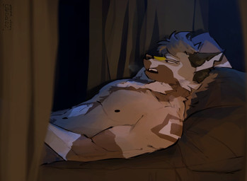 anthro arm_markings bed bed_curtains bedroom bedroom_sex biped blaze_(marking) breath brown_body brown_fur chest_markings complex_body_markings complex_shading curtains detailed_background facial_markings fur fur_markings furniture head_markings indoor_nudity inside lying male markings masturbation narrowed_eyes nipples nude nude_male on_back on_bed penile sex shoulder_markings side_view snarling solo white_body white_fur rexkoire canid canine mammal brown_theme digital_media_(artwork) half-length_portrait hi_res portrait warm_colors