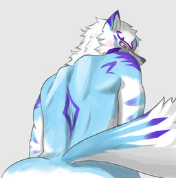 anthro back_muscles blue_body blue_fur blush butt facial_markings fur head_markings looking_at_viewer looking_back male markings muscular muscular_anthro muscular_male nude patterned_fur solo alastai02413290 lifewonders live_a_hero sadayoshi canid canine mammal hi_res