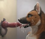 animal_genitalia animal_penis anthro balls bodily_fluids brown_body brown_fur canine_genitalia canine_penis cum cum_drip cum_heart cum_in_mouth cum_inside cum_on_cheek cum_on_face cumshot cumshot_in_mouth detailed_fur detailed_penis dripping duo ejaculation erection face_closeup fellatio fur genital_fluids genitals glory_balls glory_hole knot male male/male oral penile penis sex side_view text tongue tongue_out virtyalfobo lokoti canid canine canis domestic_dog german_shepherd herding_dog mammal pastoral_dog 2023 absurd_res bust_portrait detailed hi_res portrait shaded url