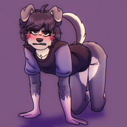 all_fours ambiguous_anthro ambiguous_gender angry anthro bangs black_clothing black_eyebrows black_shirt black_topwear blush bottomless bottomless_ambiguous bottomless_anthro clenched_teeth clothed clothed_ambiguous clothed_anthro clothing countershade_face countershade_fur countershade_legs countershade_tail countershade_torso countershading eyebrow_through_hair eyebrows fingers floppy_ears flustered folded_ears front_view fur fur_markings glare glaring_at_viewer gloves_(marking) grey_body grey_fur grumpy hair half-closed_eyes humanoid_hands kneeling leg_markings looking_at_viewer markings multicolored_body multicolored_fur narrowed_eyes pink_blush purple_background purple_eyes purple_hair purple_nose shirt shirt_only simple_background slim slim_ambiguous slim_anthro socks_(marking) solo spots spotted_body spotted_fur tail teeth topwear topwear_only translucent translucent_hair two_tone_body two_tone_fur white_body white_countershading white_fur white_markings white_sclera white_spots solarlewds kana_(solarlewds) canid canine canis domestic_dog mammal 1:1 digital_media_(artwork) full-length_portrait hi_res portrait female_(lore)