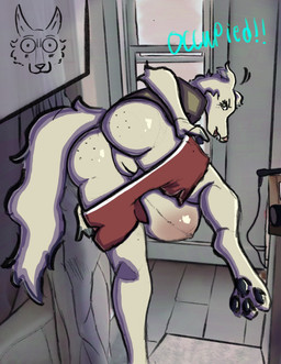 anthro belly_blush bent_leg black_pawpads blush body_blush bottomwear bottomwear_down butt clothed clothing dialogue dressing female fur genitals humanoid_hands looking_at_viewer looking_back looking_back_at_viewer navel on_one_leg outie_navel partially_clothed pawpads pink_nose pregnant pregnant_anthro pregnant_female raised_leg shorts shorts_down solo standing tail text vulva walk-in white_body white_fur yelling moscoviumdraws ethel_(moscoviumdraws) borzoi canid canine canis domestic_dog hunting_dog mammal sighthound 2025 digital_drawing_(artwork) digital_media_(artwork) english_description english_text hi_res