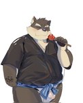 anthro apple asian_clothing belly blush candy candy_apple clothed clothing dessert east_asian_clothing eating erection erection_under_clothing food fruit fundoshi fur grey_body grey_fur japanese_clothing kimono male overweight plant scar solo translucent translucent_clothing underwear tengzai05 lifewonders tokyo_afterschool_summoners moritaka_(tas) canid canine canis domestic_dog mammal hi_res