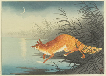 ambiguous_feral ambiguous_gender cjk_character claws crescent_moon detailed_background digitigrade feral finger_claws fog fur glistening grass lake moon orange_body orange_fur outside partially_submerged paws plant quadruped reeds reflection side_view sky solo standing tail toe_claws water water_reflection water_ripple whiskers ohara_koson public_domain canid canine fox mammal red_fox true_fox 20th_century ancient_art hi_res traditional_media_(artwork)