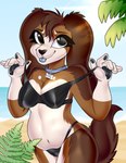 beach bedroom_eyes bikini clothing collar female fluffy latex looking_at_viewer narrowed_eyes scenery seductive solo suggestive sunny swimwear text text_on_clothing tongue tongue_out two-piece_swimsuit stellakittyart bird_dog canid canine canis domestic_dog hunting_dog mammal spaniel terrier absurd_res hi_res