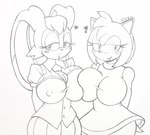 anthro big_breasts big_ears blush breast_squish breasts clothed clothing dress duo eyelashes female floppy_ears hands_behind_back head_tuft heart_symbol huge_breasts lop_ears nipple_outline open_mouth simple_background smile squish tuft white_background wide_hips cyrockstar sega sonic_the_hedgehog_(series) amy_rose vanilla_the_rabbit eulipotyphlan hedgehog lagomorph leporid mammal rabbit hi_res traditional_media_(artwork)