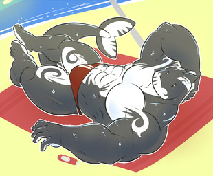 4_fingers 5_fingers abs anthro barefoot beach biceps biped black_body black_scales bodily_fluids clothed clothing dorsal_fin dot_eyes feet fin fingers glistening glistening_body hand_behind_head looking_at_viewer looking_back lying male manly markings multicolored_body multicolored_scales muscular muscular_anthro muscular_male on_towel pecs quads red_clothing scales sea seaside serratus simple_eyes solo speedo sun sweat swimwear tail tail_fin thick_neck toony topless towel two_tone_body two_tone_scales water white_body white_markings white_scales happyending aquatic cetacean dolphin mammal oceanic_dolphin orca toothed_whale 2015 colored shaded