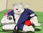 anthro blush bulge clothing inside kemono male overweight overweight_anthro overweight_male robe solo underwear gatoggy domestic_cat felid feline felis mammal 2020