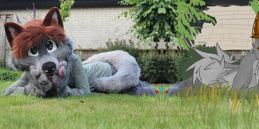 anthro backyard banner_image brown_hair clothing costume fur fursuit grass grey_body grey_fur hair lying lying_on_grass lying_on_ground male mirrored mirrored_pose on_grass on_ground partial_fursuit pawpads photo pink_pawpads pink_tongue plant red_eyes solo tongue 2001maxx conditional_dnp real_world maxx_(2001maxx) canid canine canis domestic_dog husky mammal nordic_sled_dog spitz absurd_res draw_over hi_res huge_filesize icon photo_manipulation