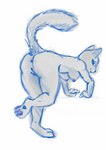 anthro bent_over butt female grey_body simple_background solo white_background cooshoo domestic_cat felid feline felis mammal