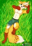 5_fingers abs athletic athletic_male blue_eyes bottomwear brown_body brown_fur brown_nose bulge clothed clothing fingers fur grass lying male on_back pecs plant shorts solo tall_grass topless white_body white_fur sharparadise canid canine mammal absurd_res hi_res