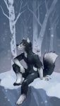 2012 anthro birch_tree blue_body blue_fur canid canine canis casual_nudity demicoeur detailed_background digital_media_(artwork) dipstick_tail fenris_(fenrir-wolfsbane) forest fox fur gloves_(marking) hybrid leg_markings male mammal markings nude on_ground outside plant scenery sitting snow socks_(marking) solo tail tail_markings tree winter wolf wood