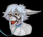 anthro ball_gag bdsm bodily_fluids brown_eyes collar drooling ear_piercing female fur gag gagged hair harness harness_ball_gag harness_gag leash messy multicolored_body multicolored_fur muzzle_(object) piercing restrained saliva simple_background solo spots submissive totesfleisch8 ara_(kin) canid canine canis domestic_cat felid feline felis hybrid mammal wolf alpha_channel hi_res