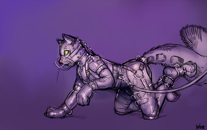 anthro bdsm bondage bound collar fur harness male muzzle_(object) muzzled petplay roleplay simple_background solo spots submissive submissive_male turbinedivinity kieran_(homphs) felid leopard mammal pantherine snow_leopard 2013