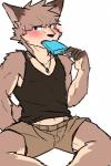 anthro biped blush bodily_fluids clothing eating food jewelry kemono male midriff necklace popsicle sea_salt_ice_cream shirt sitting solo sweat tank_top topwear tarobandit canid canine mammal 2:3 hi_res