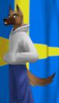 anthro bottomwear clothing denim denim_bottomwear denim_clothing flag fur jeans looking_at_viewer male pants smile solo sweden swedish_flag erkhyan canid canine canis domestic_dog german_shepherd herding_dog mammal pastoral_dog 2006 better_version_at_source hi_res