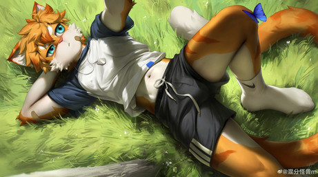 anthro bottomwear clothing footwear fur grass looking_up lying male on_back orange_body orange_fur plant shirt shorts socks solo t-shirt topwear white_body white_fur guaishoudm1 nike weibo domestic_cat felid feline felis mammal 2023 absurd_res hi_res