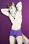 anthro blep boxer_briefs bulge celtic_knot clothed clothing eyewear fluffy glasses jewelry male necklace scruffy solo tongue tongue_out topless topless_anthro topless_male underwear annairu sabbyth canid canine canis mammal wolf hi_res