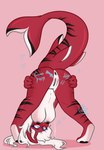 anthro big_breasts bodily_fluids body_writing breasts cum cum_in_ass cum_in_pussy cum_inside female fur genital_fluids genitals heart_eyes heart_symbol owlytheowl presenting presenting_pussy pussy red_body red_fur solo reeila_sharqua_(bigpizzaaaaaaah) fish marine requiem_shark shark tiger_shark hi_res