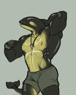 anthro black_body bottomwear clothing grey_bottomwear grey_clothing grey_shorts hand_behind_head hand_behind_own_head jewelry male multicolored_body muscular muscular_anthro muscular_male necklace nipples pecs shark_tooth_necklace shorts simple_background solo tail two_tone_body yellow_body mandrakepool aquatic cetacean dolphin mammal oceanic_dolphin orca toothed_whale hi_res