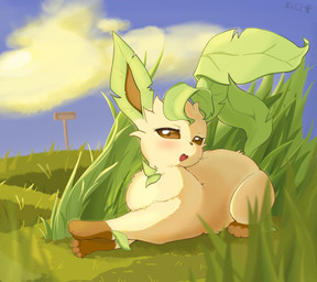 3_toes ambiguous_feral ambiguous_gender blush brown_body brown_eyes brown_fur brown_inner_ear brown_nose cloud day detailed_background eyelashes feet feral field fluffy fur glistening glistening_eyes grass green_body green_ears green_tail head_tuft kemono leaf leaf_tail leg_markings looking_at_viewer lying markings monotone_tail multicolored_body multicolored_fur no_sclera on_front open_mouth outside plant quadruped side_view sky socks_(marking) solo tail tan_body tan_fur toes tuft two_tone_body two_tone_fur nacl_chicken nintendo pokemon eeveelution generation_4_pokemon leafeon mammal pokemon_(species) 2025 absurd_res colored digital_media_(artwork) full-length_portrait hi_res portrait shaded