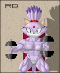 abs biceps blaze_the_cat bodybuilder breasts cat feline female looking_at_viewer muscles muscular_female navel seat sega smile sonic_(series) unknown_artist weights workout
Rating: Questionable
Score: -1
User: misspriss
Date: March 04, 2013