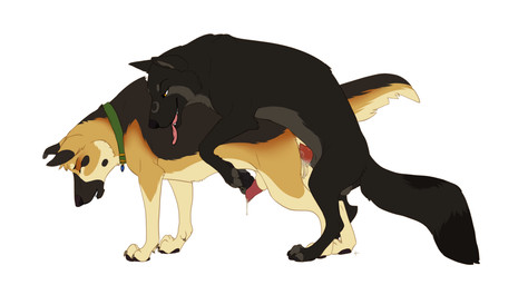 anal anal_penetration animal_genitalia animal_penis balls bodily_fluids brown_eyes canine_genitalia canine_penis claws collar cum cum_drip cum_in_ass cum_inside digitigrade doggystyle dripping duo ejaculation erection eyes_closed feral feral_on_feral feral_penetrated feral_penetrating feral_penetrating_feral finger_claws from_behind_position genital_fluids genitals intraspecies knot knotted_penis leaking_cum lipsticking male male/male male_penetrated male_penetrating male_penetrating_male mounting narrowed_eyes penetration penile penile_penetration penis quadruped sex sheath simple_background toe_claws tongue tongue_out white_background knon canid canine canis domestic_dog mammal 2013 hi_res
