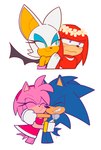 anthro blush clothed clothing eyes_closed female flower fur gloves group handwear headgear headwear hug male male/female pink_body pink_fur plant purple_eyes red_body red_fur simple_background smile tail white_background white_body white_fur fernsstories sega sonic_the_hedgehog_(series) amy_rose knuckles_the_echidna rouge_the_bat sonic_the_hedgehog bat eulipotyphlan hedgehog mammal hi_res