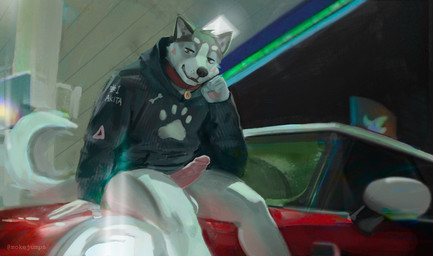 anthro balls black_clothing black_hoodie black_topwear clothing collar erection front_view fur genitals glans grey_body grey_fur hoodie humanoid_genitalia humanoid_penis male on_car partially_clothed_anthro partially_clothed_male penis sitting solo tail topwear mokejumps aston_(ak1ta_one) akita canid canine canis domestic_dog mammal spitz hi_res