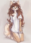5_fingers anthro biped bottomless bottomless_anthro bottomless_female breasts brown_body brown_fur brown_hair brown_tail claws clothed clothed_anthro clothed_female clothing eyewear feet female fingers front_view fur glasses green_eyes hair inner_ear_fluff kneeling long_hair partially_clothed partially_clothed_anthro partially_clothed_female shirt shirt_only simple_background smile solo tail toe_claws toes topwear topwear_only tuft tinygaypirate yshanii cotton_(yshanii) canid canine canis dingo mammal 2025 digital_media_(artwork) hi_res