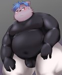 anthro belly blue_hair blush bulge clothed clothing detailed_bulge genital_outline hair humanoid_hands kemono male overweight overweight_male penis_outline simple_background solo hanji1st mammal 2021 hi_res