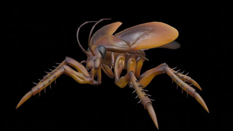 6_legs ambiguous_gender antennae_(anatomy) arthropod_abdomen black_background black_eyes brown_body feral glistening glistening_body idle_animation insect_wings long_legs looking_at_viewer mandibles simple_background solo spikes spikes_(anatomy) wings insektum arthropod blattodean cockroach insect 3d_(artwork) 3d_animation animated digital_media_(artwork) loop no_sound short_playtime webm