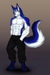 abs anthro big_tail blue_body blue_fur blue_hair bottomwear cargo_pants clothing fur hair hand_in_pocket hands_in_both_pockets male muscular muscular_male pants pockets solo tail white_body white_fur yellow_eyes mizukithia basian canid canine canis domestic_dog husky mammal nordic_sled_dog spitz absurd_res hi_res