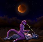 absurd_res ambiguous_penetration anonymous_artist anthro canid canine canis domestic_cat duo felid feline felis fur hand_holding hi_res looking_at_another looking_at_partner love male male/male mammal moon nature night penetration purple_body purple_fur ray-bleiz sex tifenius_(heliphass) wolf