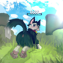 anthro anus balls bell bell_collar black_body black_fur butt butt_focus collar fur gameplay_mechanics genitals gradient_background gui health_bar looking_at_viewer looking_back male paws simple_background sky solo white_body white_fur tornado_fur brawl_stars supercell_(company) kit_(brawl_stars) domestic_cat felid feline felis mammal 1:1 full-length_portrait portrait