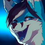 anthro black_nose blue_eyes blue_tongue hair happy male open_mouth solo tongue rexwind jaster_blade canid canine fox mammal headshot_portrait portrait