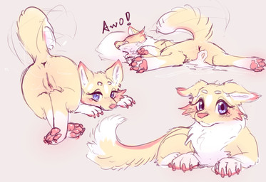 after_vaginal anus awoo blue_eyes butt claws eyelashes feet female female_feral feral fur genitals hindpaw howl leg_markings long_eyelashes lying markings multicolored_body multicolored_fur multiple_angles narrowed_eyes on_front paws pillow pose presenting presenting_anus presenting_hindquarters presenting_vulva quadruped side_view simple_background socks_(marking) solo tail tail_motion tailwag two_tone_body two_tone_fur vulva white_body white_fur yellow_body yellow_fur lunargent canid canine canis domestic_dog mammal 2026 absurd_res digital_drawing_(artwork) digital_media_(artwork) flat_colors hi_res