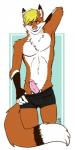 anthro biped blonde_hair blue_eyes boxers_(clothing) brown_body brown_fur clothed clothing clothing_pull dipstick_tail erection eyebrows fingerless_(marking) flashing fluffy fluffy_tail front_view fur genitals gloves_(marking) hair hand_behind_head humanoid_genitalia humanoid_penis long_tail male markings multicolored_body multicolored_fur multicolored_tail orange_body orange_fur partially_clothed penis penis_poking_out pink_nose pink_penis raised_eyebrow simple_background smile smirk solo standing tail tail_markings topless underwear underwear_down underwear_pull white_body white_fur ririri foxeh canid canine fox mammal 1:2 2015 digital_media_(artwork) hi_res signature