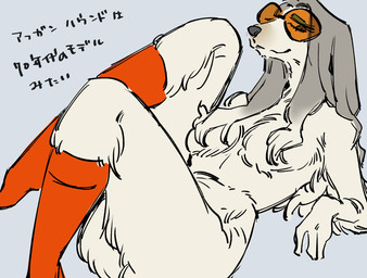 anthro arm_support arm_tuft bent_arm bent_legs biped black_eyebrows black_nose black_text blue_background breasts brown_eyes clothing convenient_censorship curvy_figure elbow_tuft eyebrows eyelashes eyeshadow eyewear facial_markings female fingers fluffy footwear fur fur_tuft green_eyeshadow grey_hair grey_markings hair hair_covering_breasts hair_covering_nipples half-closed_eyes head_markings iris knee_highs knee_socks leaning_on_elbow leg_tuft legwear light_body light_fur long_eyelashes long_hair looking_at_viewer lounging makeup markings medium_breasts monotone_background monotone_breasts mostly_nude mostly_nude_anthro mostly_nude_female mouth_closed multicolored_hair muzzle_(marking) narrowed_eyes orange_eyewear orange_sunglasses plantigrade pose pupils red_clothing red_footwear red_knee_socks red_socks simple_background smile smiling_at_viewer smirk smirking_at_viewer snout socks solo straight_hair sunglasses text thick_thighs three-quarter_view tuft two_tone_hair wearing_sunglasses white_body white_breasts white_fur white_hair sori0414 afghan_hound canid canine canis domestic_dog hunting_dog mammal sighthound 2025 digital_drawing_(artwork) digital_media_(artwork) hi_res japanese_text pinup translated