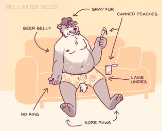 5_fingers anthro belly clothing facial_hair fingers furniture humanoid_hands male mature_male moobs mustache navel nipples overweight overweight_male sitting sofa solo text underwear mikeyswag13 badger mammal mustelid musteline 2026 absurd_res english_text hi_res