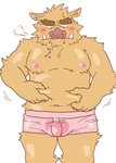 anthro belly blush boxers_(clothing) brown_body brown_fur bulge clothing fur humanoid_hands kemono male moobs navel nipples simple_background slightly_chubby solo underwear white_background ryuta-h mammal suid suine sus_(pig) wild_boar 2008