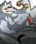 anthro balls black_nose blush bodily_fluids clothing cum erection fur genital_fluids genitals grey_body grey_fur male penis slightly_chubby solo sweat whiskers sigenoya gingitsune gintaro canid canine fox mammal 5:6