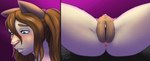 anthro anus blue_eyes blush breasts butt clitoris embarrassed female fur genitals hair nude pigtails pubes pussy simple_background solo thick_thighs wide_hips androidz celest_(androidz) domestic_cat felid feline felis mammal hi_res