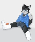 anthro biped blush bodily_fluids bottomwear boxers_(clothing) bulge clothed clothing crying detailed_bulge embarrassed footwear frown fur hair legwear male male_anthro panties plantigrade sad school_uniform shota simple_background sitting socks solo spread_legs spreading tail tears underwear uniform young young_anthro young_male noofywoof noofy_(noofywoof) canid canine mammal absurd_res hi_res