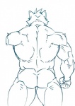 anthro back_muscles biceps big_muscles biped butt faceless_character faceless_male fur male muscular muscular_anthro muscular_male nude rear_view simple_background solo standing white_background dandoo drakuun dard felid mammal pantherine tiger digital_media_(artwork) line_art