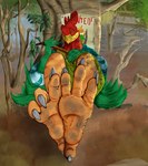 anthro claws dirty dirty_feet feet foot_fetish foot_focus male male_feet paws pose sitting soles solo talons teasing teasing_viewer teasing_with_feet toes robinthefox disney robin_hood_(disney) alan_a_dale avian bird chicken galliform gallus_(genus) phasianid alan_(disambiguation) hi_res