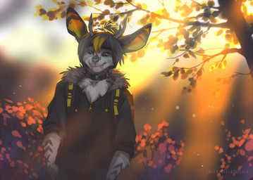 anthro autumn autumn_leaves backpack clothing eyes_closed fur fur_markings jacket light light_beam male markings plant smile solo sunbeam sunlight topwear tree koul mammal unknown_species 2022 digital_media_(artwork)