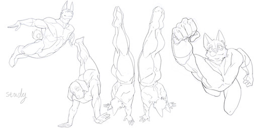 anthro clothing duo flying gloves handstand handwear male multiple_poses pose spandex superhero superhero_costume tight_clothing cxcxxcxxxx canid canine mammal absurd_res hi_res