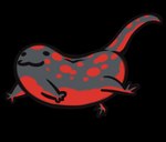 :3 ambiguous_gender bean black_body black_skin countershading feral funny_post_number red_body red_countershading red_spots simple_background smile solo spots transparent_background mail-order-superhero kira_(kira) amphibian hybrid newt salamander alpha_channel digital_media_(artwork)